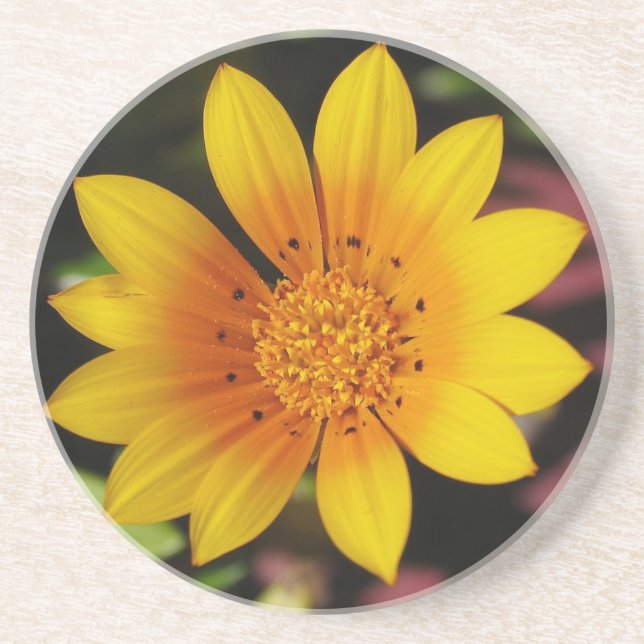 En Grès Dessous de verre de marguerite jaune (Devant)