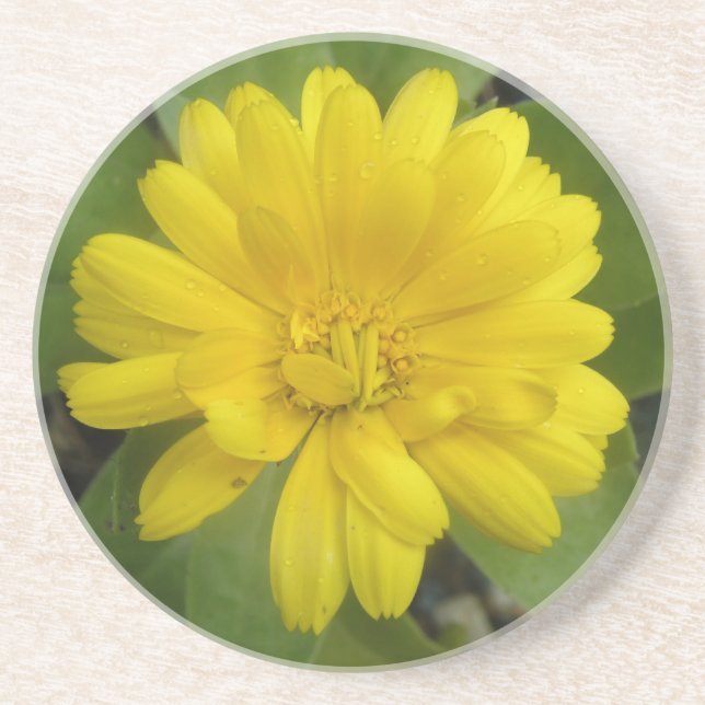 En Grès Dessous de verre de Marigold jaune vif (Devant)