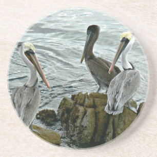 En Grès Dessous de verre de pélicans de Monterey
