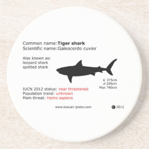 En Grès Dessous de verre de requin de tigre