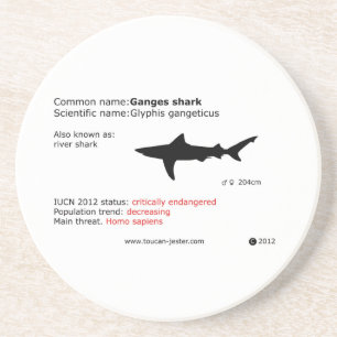 En Grès Dessous de verre de requin du Gange