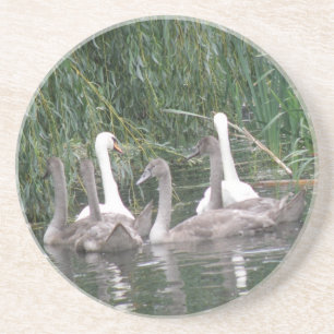 En Grès Dessous de verre de Swabs et de Cygnets