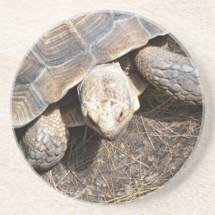 En Grès Dessous de verre de tortue