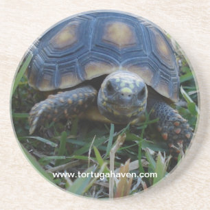 En Grès Dessous de verre de tortue de Rouge-Pied