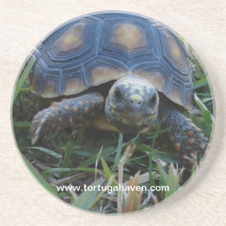 En Grès Dessous de verre de tortue de Rouge-Pied