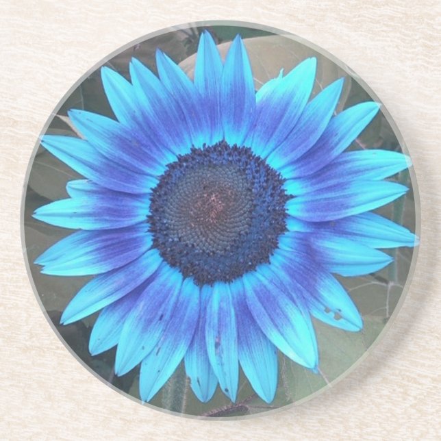 En Grès Dessous de verre de tournesol bleu (Devant)