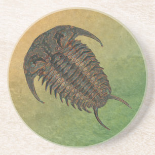 En Grès Dessous de verre de Trilobite Fossil Ceraurus