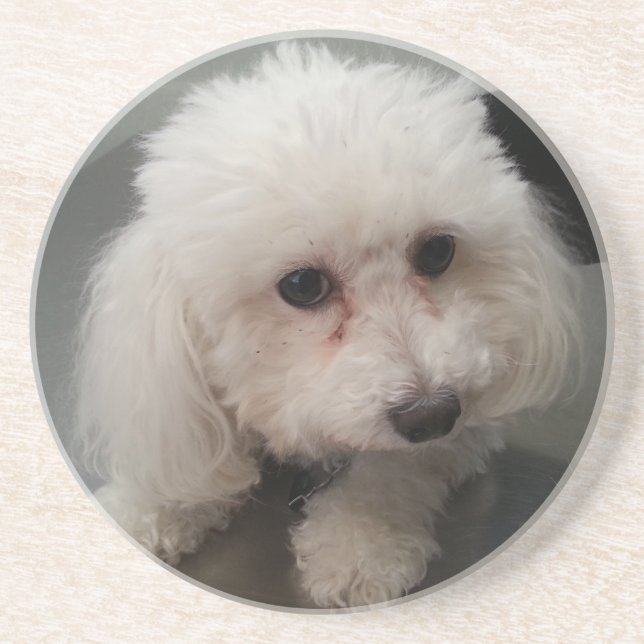 En Grès dessous de verre de Zoe (Devant)