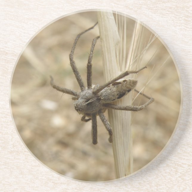 En Grès Dessous de verre déplaisants Crawly Spider (Devant)