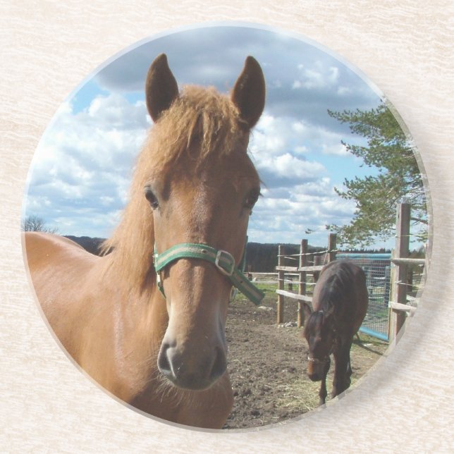 En Grès Dessous de verre des chevaux (Devant)