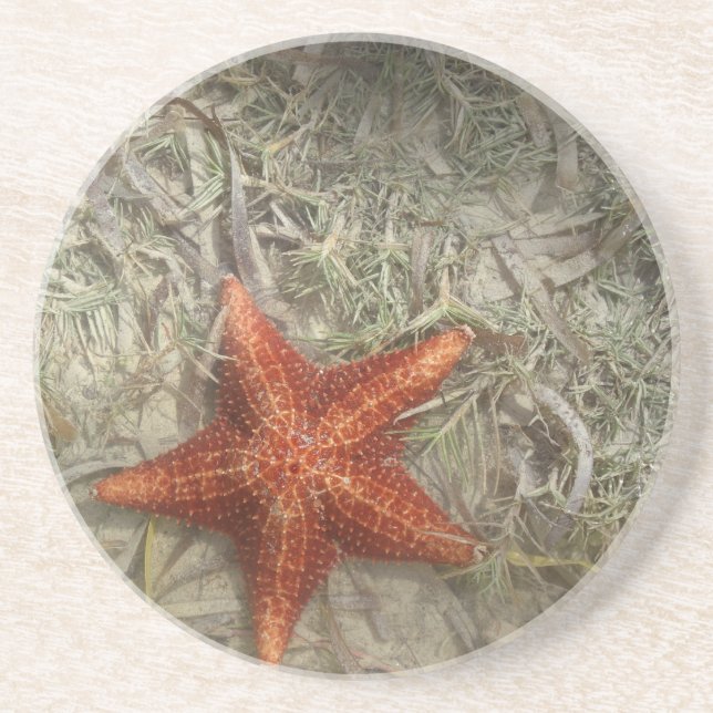 En Grès Dessous de verre d'étoiles de mer (Devant)