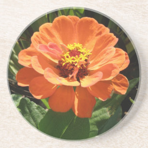 En Grès Dessous de verre d'Orange Zinnia
