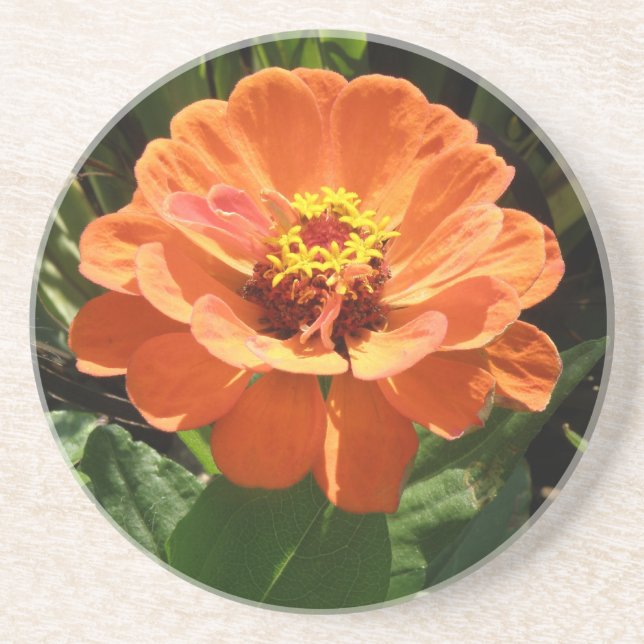 En Grès Dessous de verre d'Orange Zinnia (Devant)