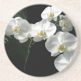 En Grès Dessous de verre d'orchidées blanches