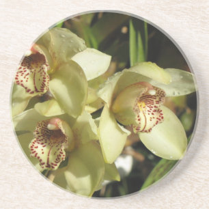 En Grès Dessous de verre d'orchidées de Cymbidium
