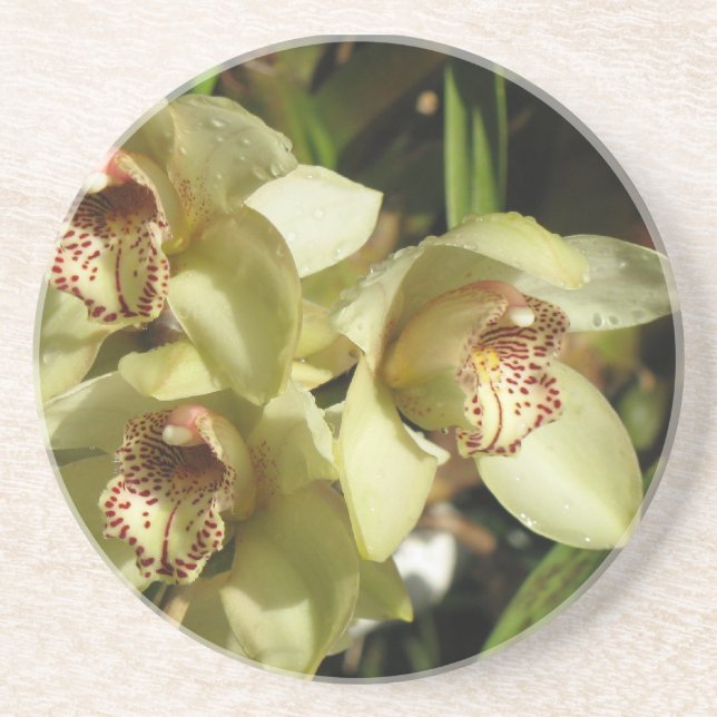 En Grès Dessous de verre d'orchidées de Cymbidium (Devant)