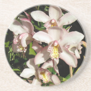 En Grès Dessous de verre d'orchidées de Cymbidium