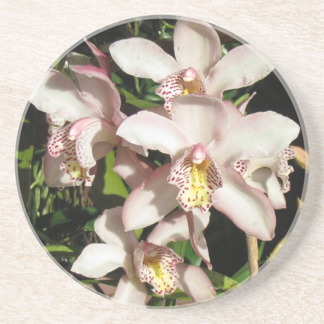 En Grès Dessous de verre d'orchidées de Cymbidium (Devant)