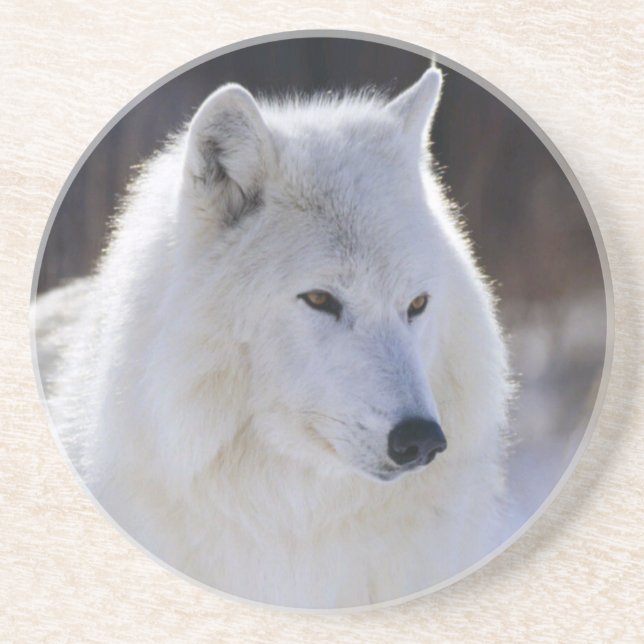 En Grès Dessous de verre du loup arctique (Devant)