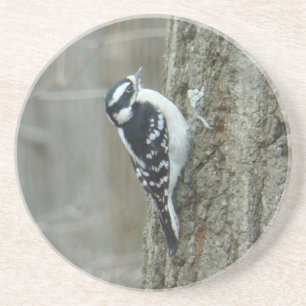 En Grès Dessous de verre féminin Downy Woodpecker