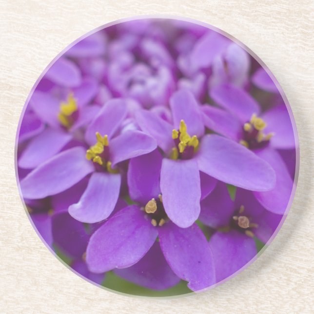 En Grès Dessous de verre Fleur sauvage pourpre (Devant)