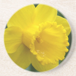 En Grès Dessous de verre Fleurs de printemps Dessous de ve