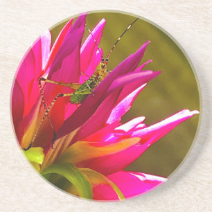 En Grès Dessous de verre Fleurs et Amis
