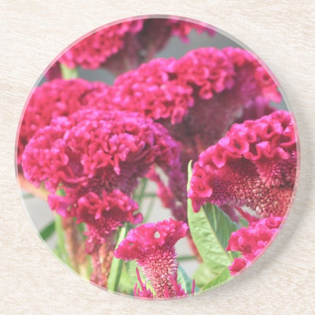 En Grès Dessous de verre Fleurs Fuchsia (Devant)