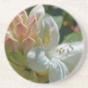 En Grès Dessous de verre Floral Azalea Blanc