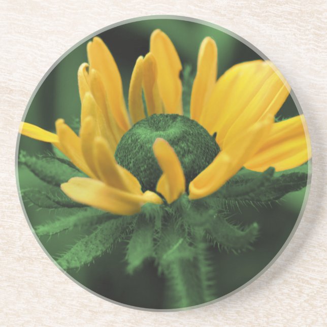 En Grès Dessous de verre floral Susan Black Eyed vert (Devant)