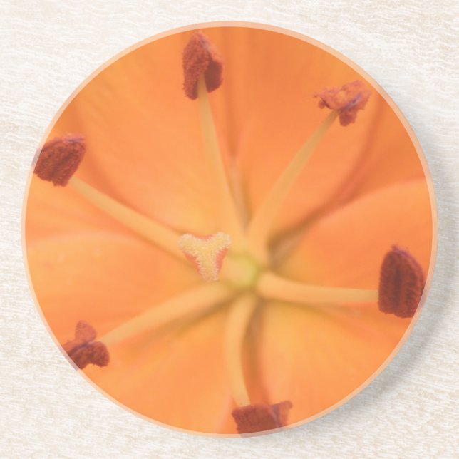 En Grès Dessous de verre floraux de Lily orange (Devant)