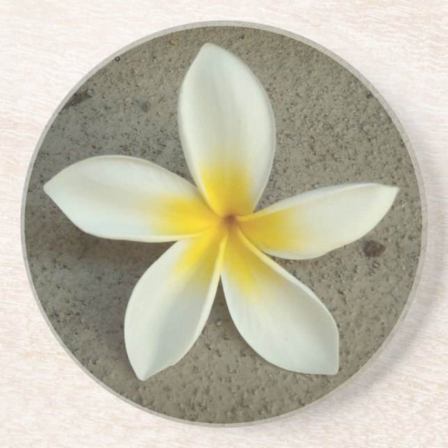En Grès Dessous de verre floraux de Plumeria hawaii (Devant)
