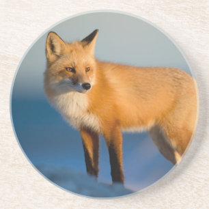 En Grès Dessous de verre Fox Brown