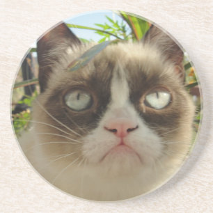 En Grès Dessous de verre grincheux de chat