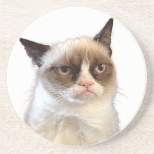 En Grès Dessous de verre grincheux originaux de chat