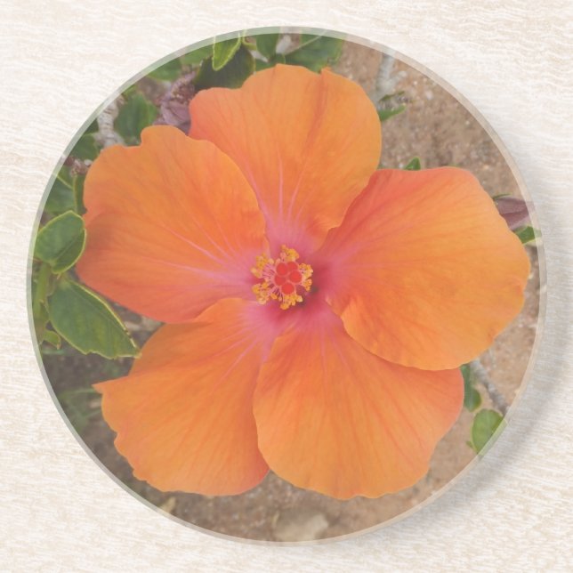 En Grès Dessous de verre Hibiscus d'Orange (Devant)