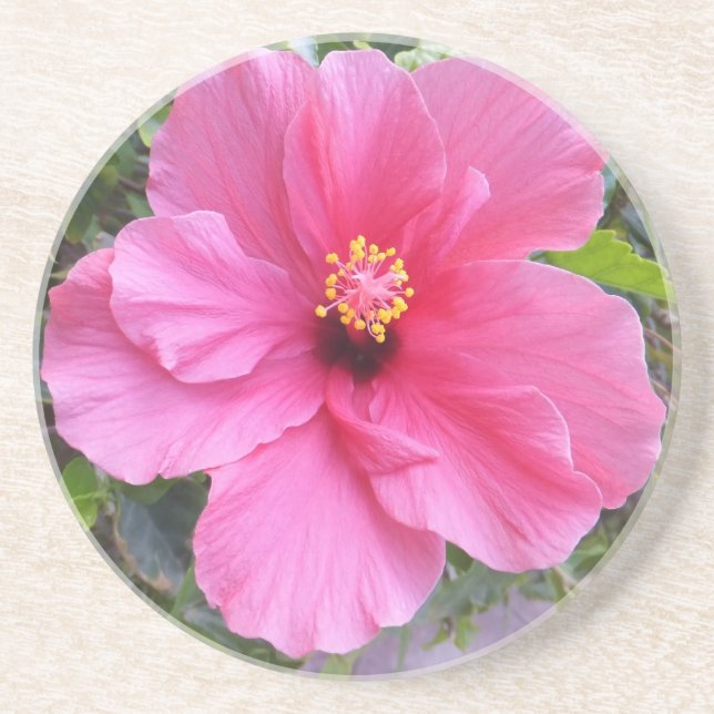 En Grès Dessous de verre Hibiscus rose (Devant)