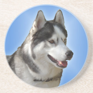 En Grès Dessous de verre Husky Dessous de verre Husky Mala
