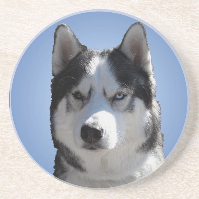 En Grès Dessous de verre Husky Dessous de verre Husky Mala (Devant)