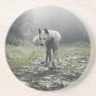 En Grès Dessous de verre Husky Sibérien Blanc