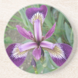 En Grès Dessous de verre Iris Violet