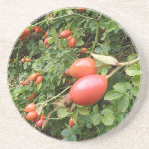 En Grès Dessous de verre Juicy Red Rose Hips