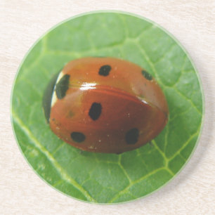 En Grès Dessous de verre Ladybug