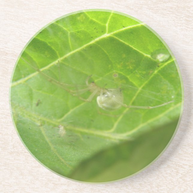 En Grès Dessous de verre Little Spider (Devant)