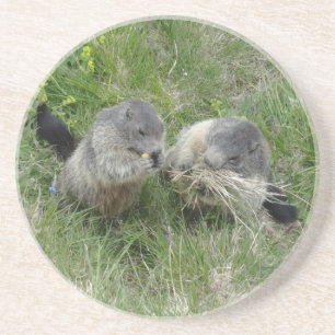 En Grès Dessous de verre Marmotte