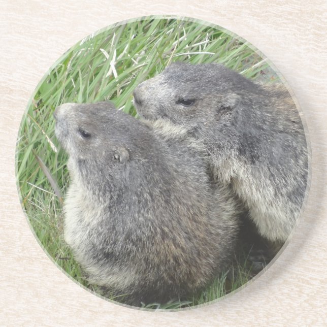 En Grès Dessous de verre Marmotte (Devant)