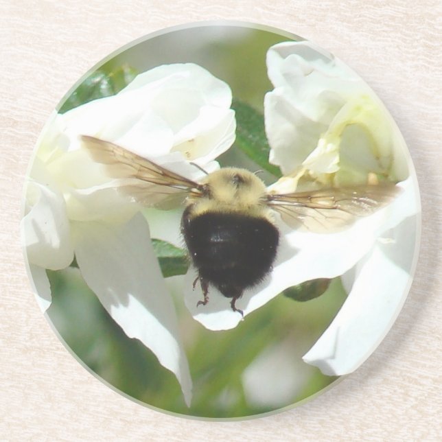 En Grès Dessous de verre occupé d'Bee'n (Devant)