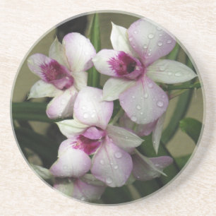 En Grès Dessous de verre Orchideas
