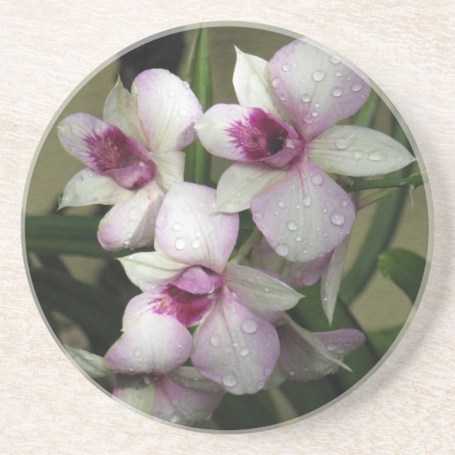 En Grès Dessous de verre Orchideas (Devant)