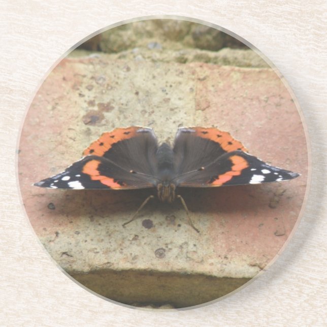 En Grès Dessous de verre papillon de l'amiral rouge (Devant)